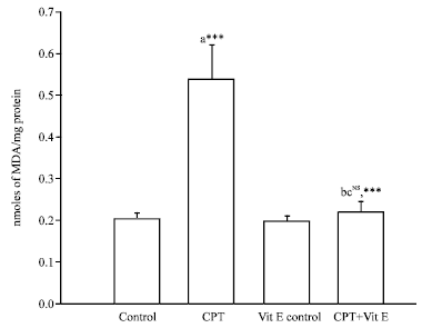 Image for - Ameliorative Effect of Vitamin E on Chemotherapy Induced Side Effects in Rat Liver