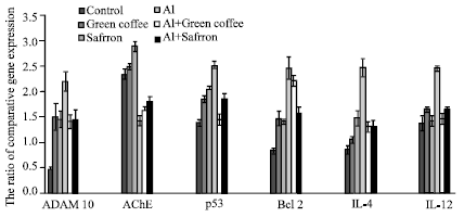 Image for - The Protective Role of Coffea arabica L. and Crocus sativus L. Against the Neurotoxicity Induced by Chronic Administration of Aluminium Chloride