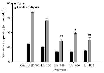 Image for - Anti-spermatogenic Activity of Leptadenia hastata (Pers.) Decne Leaf Stems Aqueous Extracts in Male Wistar Rats