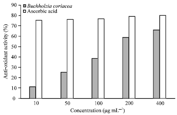 Image for - Effects of Methanol Extract of Buchholzia coriacea Fruit in Streptozotocin-induced Diabetic Rats