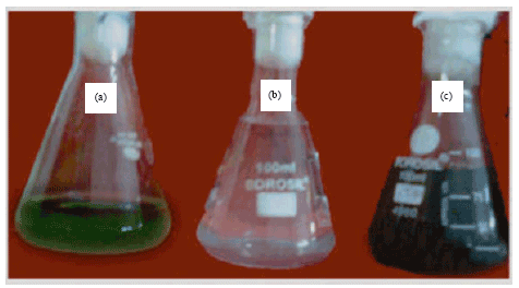 Image for - Synthesis of Silver Nanoparticles using Leaf Extract of Andrographis paniculata