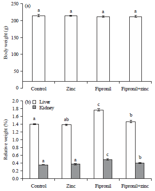 Image for - Ameliorating Effect of Zinc Against Oxidative Stress and Lipid Peroxidation Induced by Fipronil in Male Rats