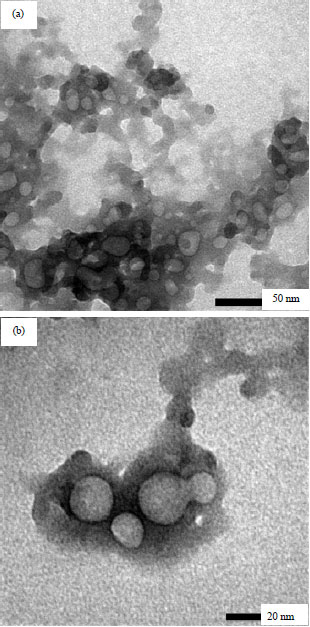 Image for - Intraperitoneal Acute Toxicity of Aluminum Hydroxide Nanoparticle as an Adjuvant Vaccine Candidate in Mice