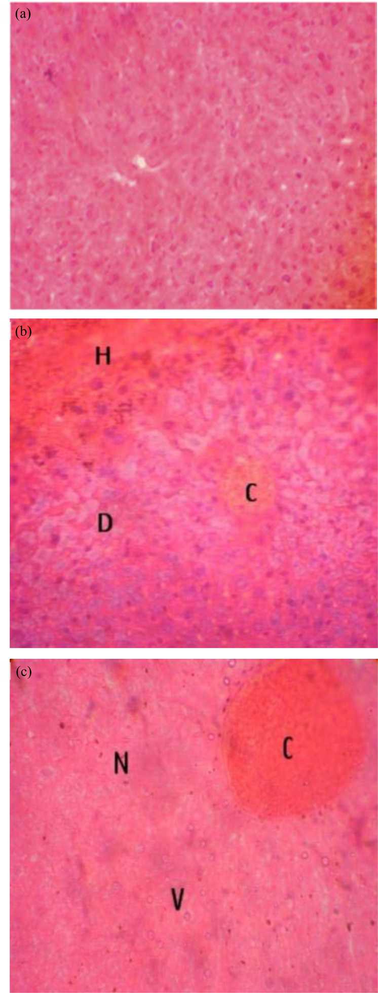 Image for - Toxicological Evaluation and Therapeutic Index of Ethanolic Leaf Extract of Acanthus montanus (Acanthaceae) in Mice