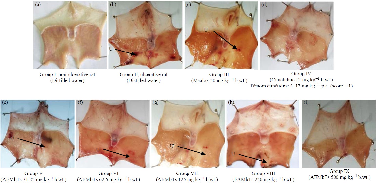 Image for - Acute Toxicity Study, Anti-Secretory and Antiacid Activities of a Herbal Formulation on Induced Gastric Ulcer