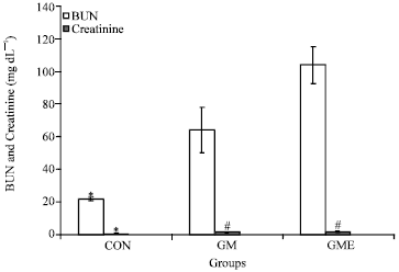Image for - Evaluation of the Kidney Extract on Gentamicin Induced- Nephrotoxicity in Rat