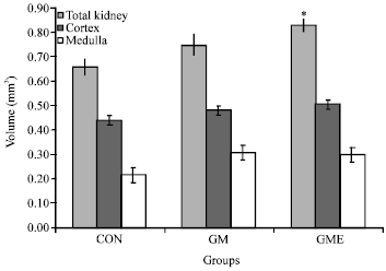 Image for - Evaluation of the Kidney Extract on Gentamicin Induced- Nephrotoxicity in Rat