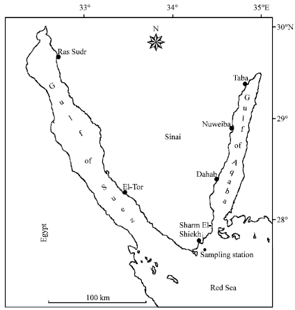 Image for - Monthly Variations in Abundance and Species Composition of the Epipelagic Zooplankton off Sharm El-Sheikh, Northern Red Sea