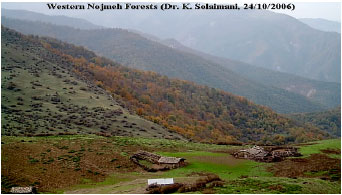 Image for - Determination of Treeline Using Satellite Data and Field Techniques (A Case Study; Western Nojomeh, Iran)