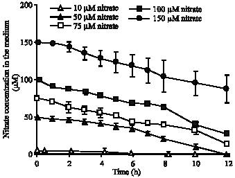 Image for - The Trend of HATS Nitrate Uptake in Response to Nitrate and Glutamine in Nicotiana plumbaginifolia Plant