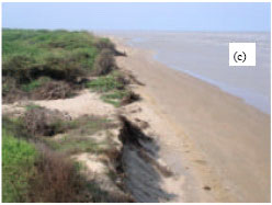 Image for - Sedimentological and Mineralogical Investigation of Beach Sediments of a Fast Prograding Cuspate Foreland (Point Calimere), Southeast Coast of India