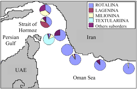 Image for - Abundance and Distribution of Benthic Foraminifera in the Northern Oman Sea (Iranian Side) Continental Shelf Sediments