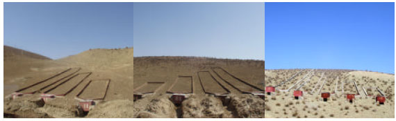 Image for - The Use of Surface Runoff to Improve Degraded Rangelands by Creating Shrub Pastures