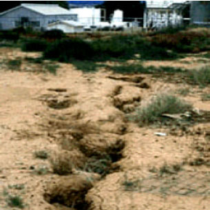 Image for - Prediction of Earth Fissures Development in Sirjan
