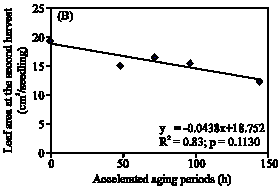 Image for - The Effect of Seed Aging on the Seedling Growth as Affected by Environmental Factors in Wheat