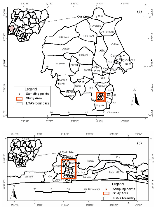 Image for - A Comparative Study of Borehole Water Quality from Sedimentary Terrain and Basement Complex in South-Western, Nigeria