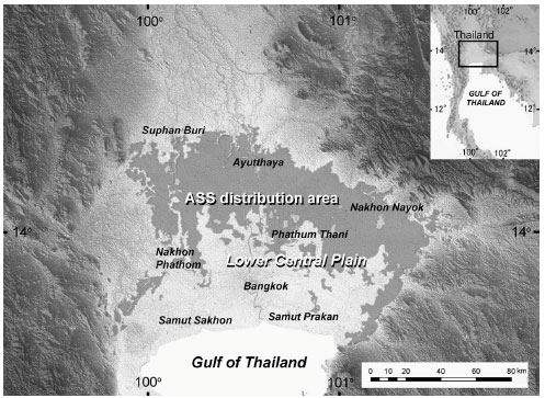Image for - Paleoenvironment of Acid Sulfate Soil Formation in the Lower Central Plain of Thailand