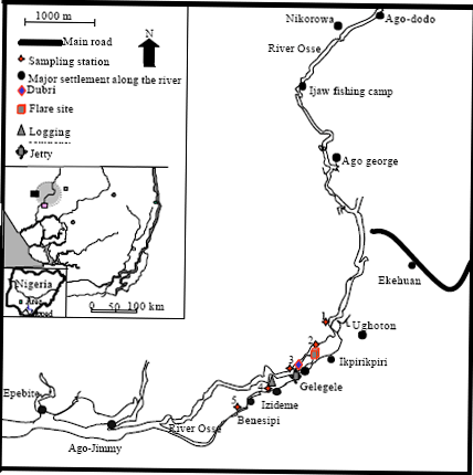 Image for - Environmental Impacts of Oil Exploration and Production on the Macrobenthic Invertebrate Fauna of Osse River, Southern Nigeria