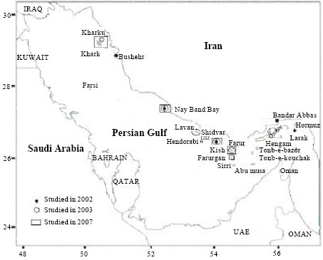 Image for - Efficiency of Coral Reef Bio-Indicators in the Northern Part of the Persian Gulf