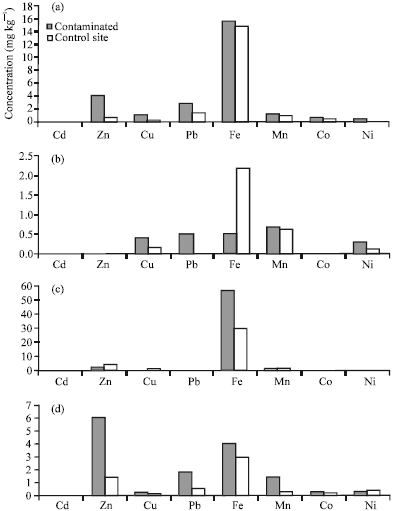 Image for - Bioaccumulation of the Heavy Metals in Cassava Tubers and Plantain Fruits Grown in Soils Impacted with Petroleum and Non-Petroleum Activities