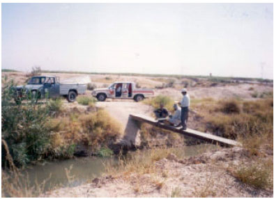 Image for - Evaluation of the Wastewater-Related Problems of Shoteit River in Shushtar (Southwest Iran)