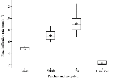 Image for - The Effect of Different Patches and Interpatch on Infiltration Rate in an Arid Shrubland Ecosystem