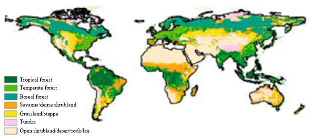 Image for - Monitoring Forest Cover Changes Using Remote Sensing and GIS: A Global Prospective
