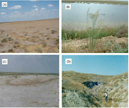 Image for - Assessing Desertification Sensitivity in the Northern Part of Gorgan Plain, Southeast of the Caspian Sea, Iran