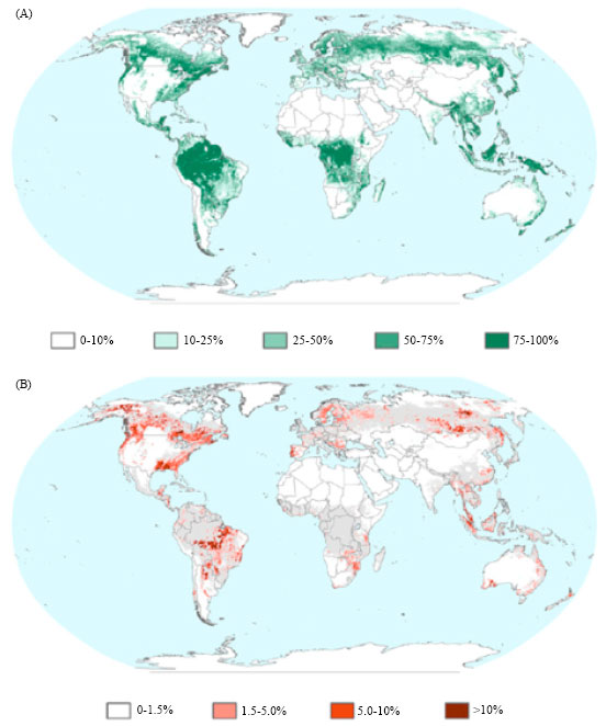 Image for - Monitoring Forest Cover Changes Using Remote Sensing and GIS: A Global Prospective