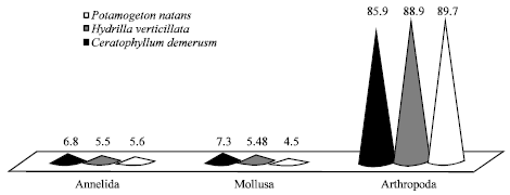 Image for - Macroinvertebrate Community Assossiciations on Three Different Macrophytic Species in Manasbal Lake