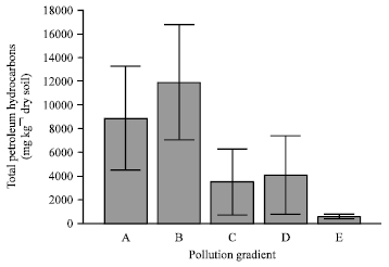 Image for - Tropical Endogeic Earthworm Population in a Pollution Gradient with Weathered Crude Oil
