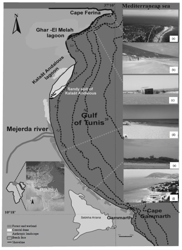 Image for - Contribution of Grain-size Trend to Sediment of a Microtidal Beach. Case  of the Gulf of Tunis Bay (Cape Ferina-Cape Gammarth, Tunisia)
