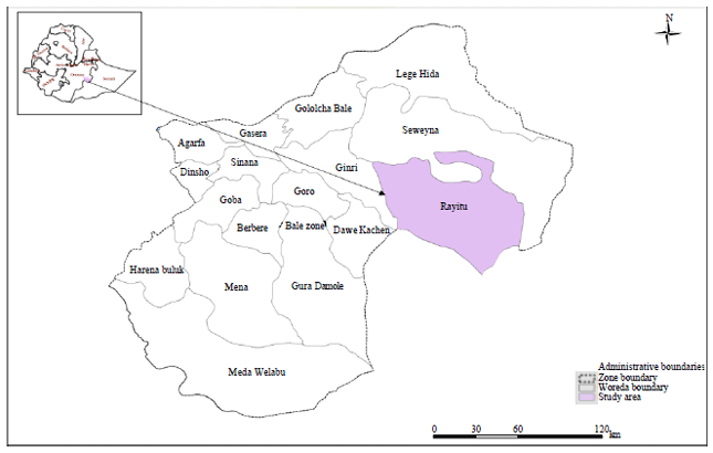 Image for - Determinants of Agro-pastoralist Climate Change Adaptation Strategies: Case  of Rayitu Woredas, Oromiya Region, Ethiopia