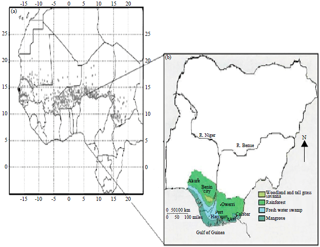 Image for - Comparative Analysis of Gridded Datasets and Gauge Measurements of Rainfall in the Niger Delta Region