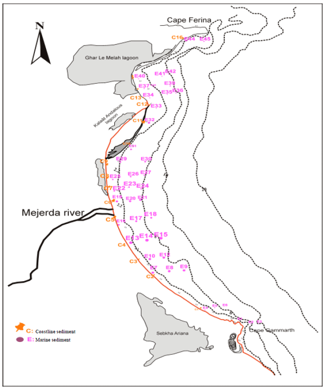 Image for - Contribution of Grain-size Trend to Sediment of a Microtidal Beach. Case  of the Gulf of Tunis Bay (Cape Ferina-Cape Gammarth, Tunisia)