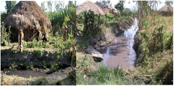 Image for - Heavy Metals Concentration in Effluents of Textile Industry, Tikur Wuha  River and Milk of Cows Watering on this Water Source, Hawassa, Southern Ethiopia