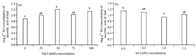 Image for - Effect of Salicylic Acid on Oxidative Stress Caused by NaCl Salinity in  Lycopersicum Esculentum Mill