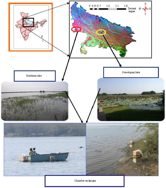Image for - Assessment of Methane Variability from Natural Wetlands of Uttar Pradesh, India-Implications for Tropical Countries