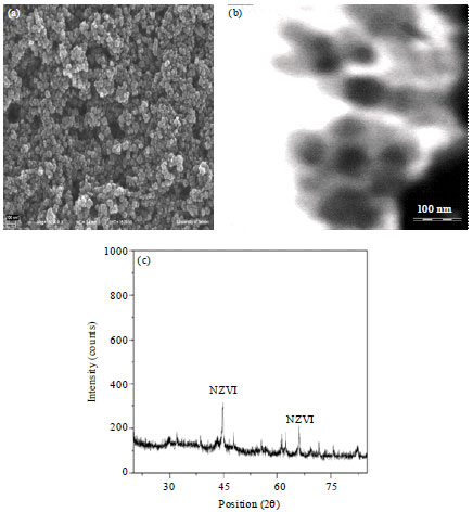 Image for - Removal of Dexamethasone from Aqueous Solutions using Sono-Nanocatalysis Process