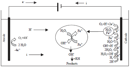 Image for - Degradation of Phenol in Aqueous Solutions Using Electro-Fenton Process