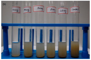 Image for - Extraction and Partial Characterization of Exopolysaccharides from Marine Cyanobacteria and their Flocculation Property
