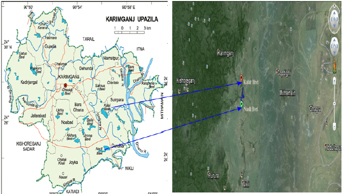 Image for - Fish Diversity Assessment of the Haor Region in Kishoreganj District, Bangladesh