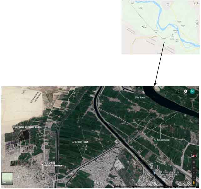 Image for - Cyanide Pollution in Different Water Sources in Assiut, Egypt: Levels, Distributions and Health Risk Assessment