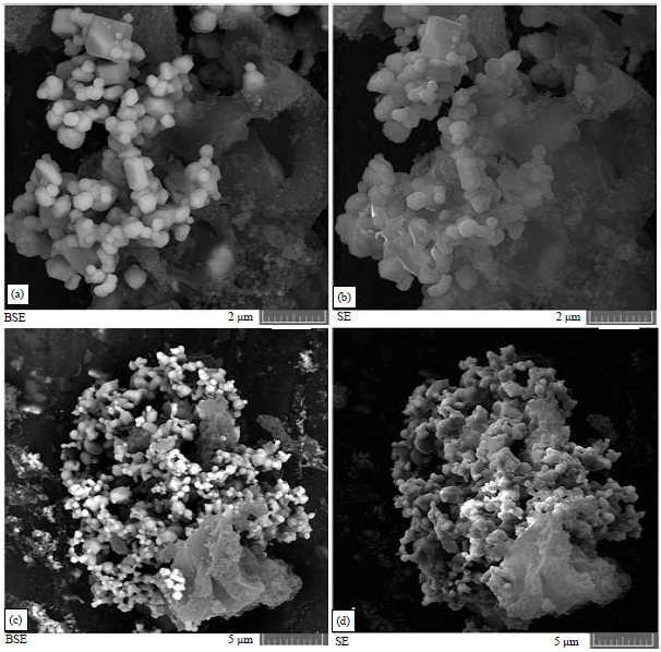 Image for - Preparation and Photocatalytic Activity of AG3PO4/MCM-41 Nanocomposite for Degradation of Organic Compounds in Aqueous Solution