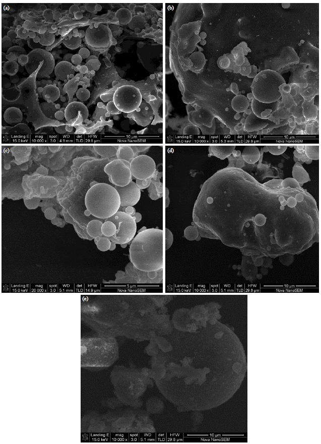 Image for - Chemical, Mineralogical and Morphological Investigation of Coal Fly Ash Obtained from Mpumalanga Province, South Africa
