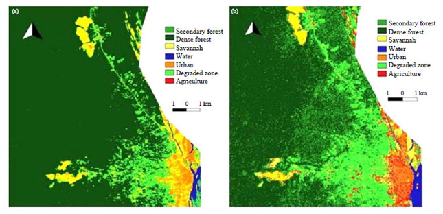 Image for - Field Validation of Land Cover and above Ground Carbon Mapping Using the Landsat OLI in Tropical Region