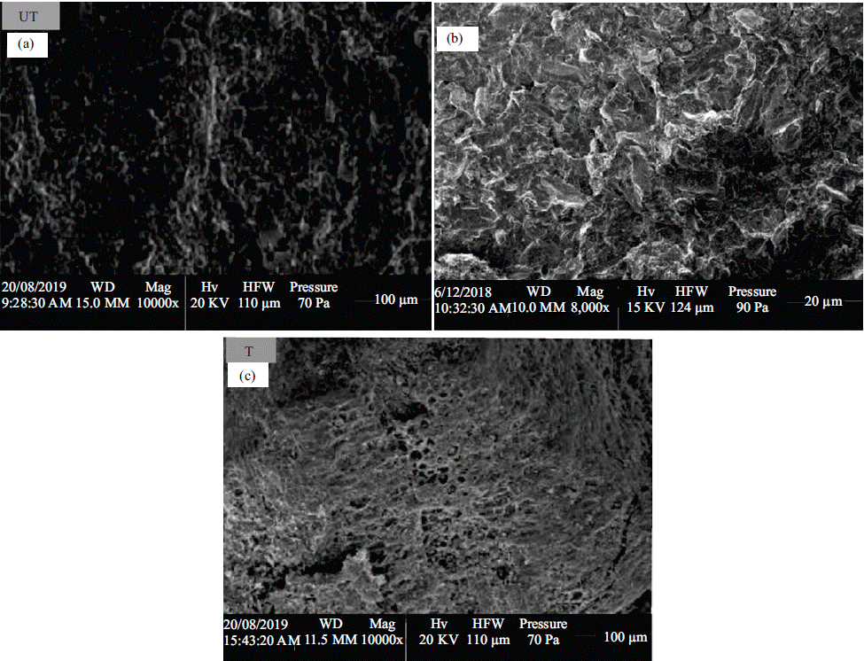 Image for - Adsorptive Properties of Sawdust Activated Carbon for the 2,2-Dichlorovinyl-Dimethyl-Phosphate Removal from Agrochemical Industrial Wastewater