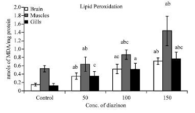Image for - Effect of Diazinon on Acetylcholinesterase Activity and Lipid Peroxidation of Poecilia reticulata