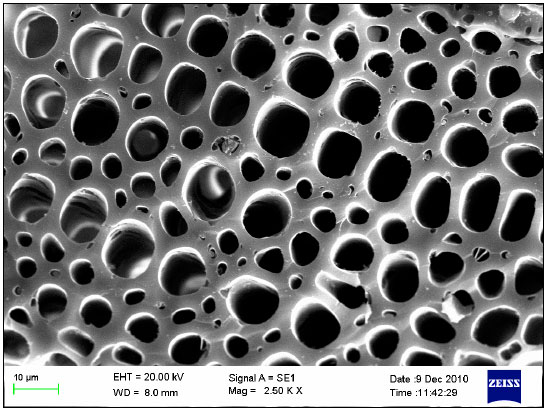 Image for - Application of Response Surface Methodology for the Removal of Methylene Blue by Acacia Auriculiformis Scrap Wood Char