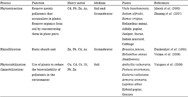 Image for - Assessment of Heavy Metal Contamination in Different Vegetables Grown in and Around Urban Areas